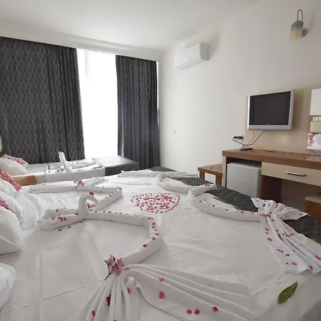 Hotel Viva 3*